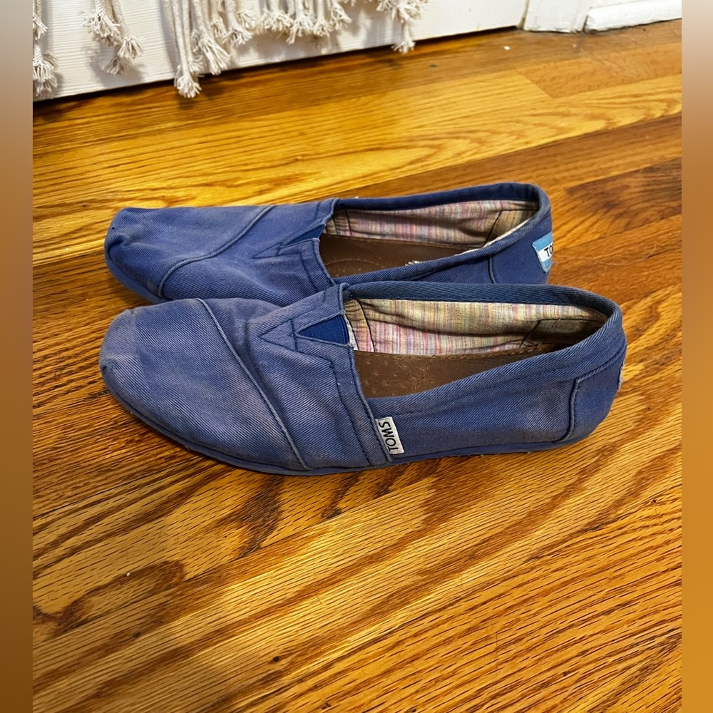 Toms- blue
